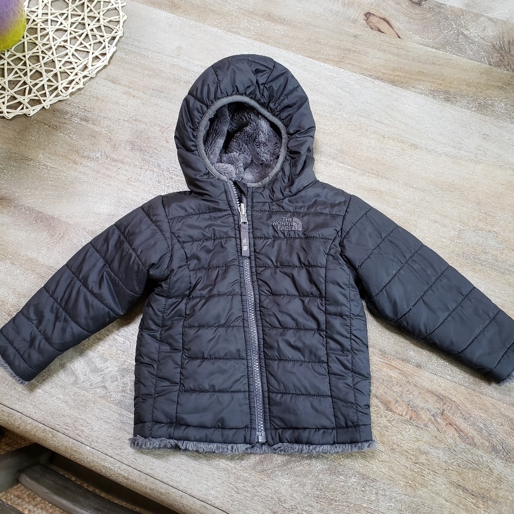 Toddler the north face jacket